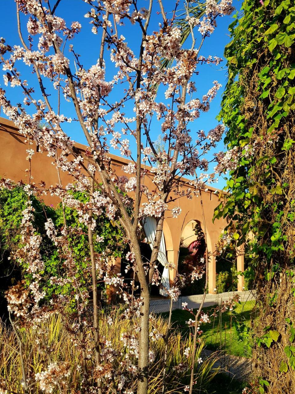 Ksar Salha Hotel Douar Drâa Buitenkant foto