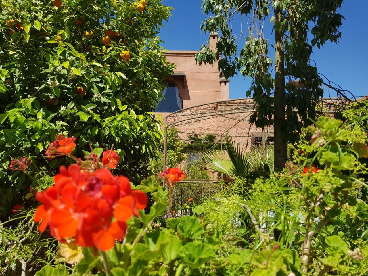 Ksar Salha Hotel Douar Drâa Buitenkant foto